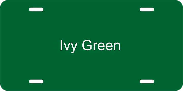 Personalized Aluminum License Plate – 6" x 12" Custom Laser Engraved